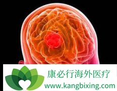 ���Խ���������Ϊ�ζ�����������