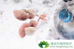 ����ҽ���о����ֿ����е���Ѵ