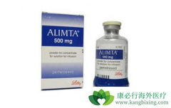 ����̩��ʹALK���ŵķ��ٰ������������