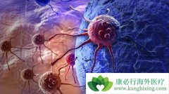 ����ҽ������ò�����������������ϸ����