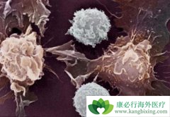 ����ҽ���о������㰩֢��ʵҲ�ǿ���������