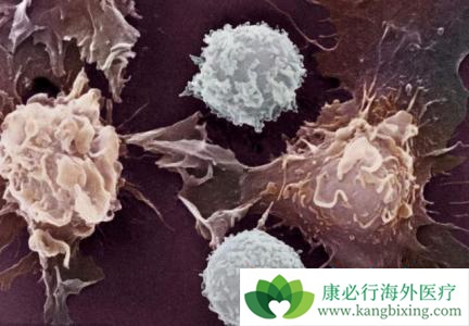 ����ҽ��