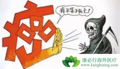 ����ҽ�������������ð�֢����������