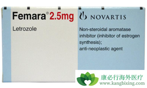 ������Ƭ