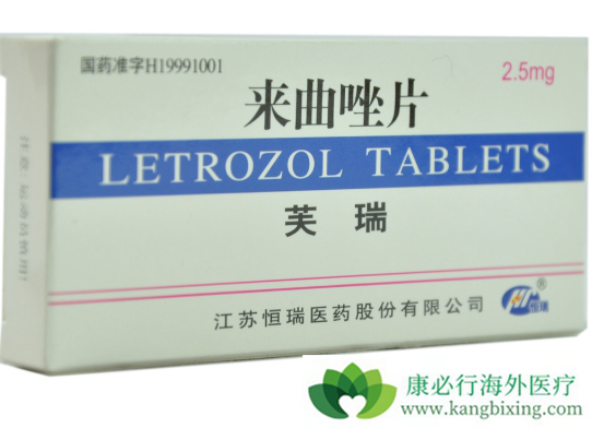 ������Ƭ