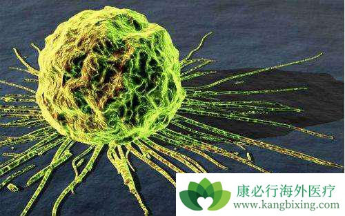 ����ҽ��