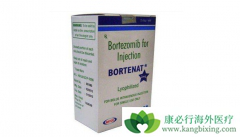 ��������Ŀǰ���ƹ�����������Ч��ҩ��