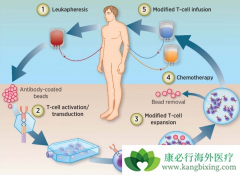 CAR-Tϸ�����Ʒ���Ҳ������һ���ĸ�����