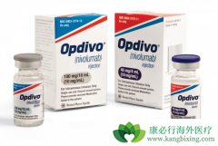 ����EGFRͻ��ķΰ����߿���ʹ��PD-1���Ƽ�������