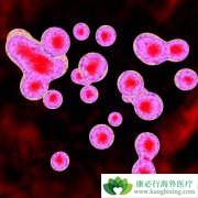 ����ҽ�ƶ�ø�ķ��������ƶ������������½׶�