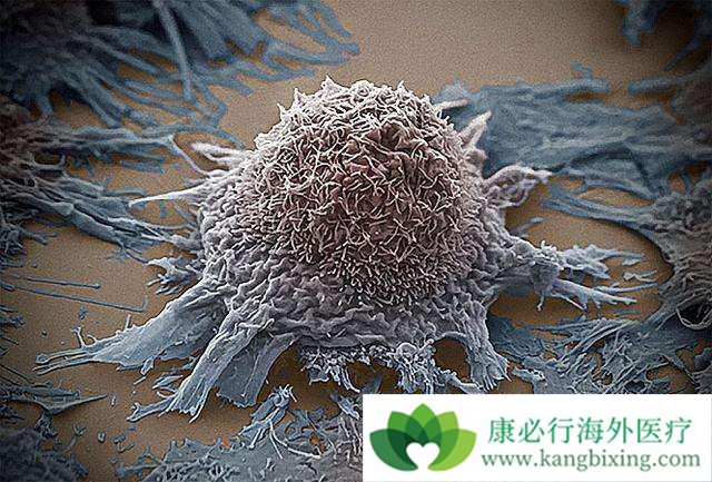 ����ҽ��