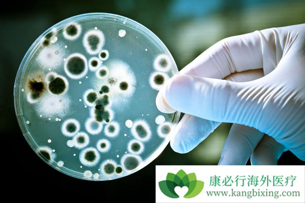 海外医疗 海外医疗