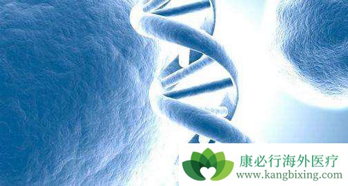 海外医疗 海外医疗
