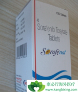 ӡ�ȶ༪�����������ᣩ��˱��˵�����Ҫԭ����ʲô