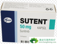 �������ᣨsutent�������������ת�ƻ���������