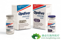 PD-1���Ƽ�Keytruda������Ϊ�ΰ���һ�����Ʒ�����