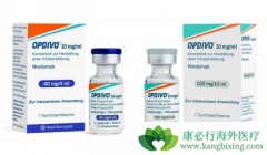 ֻ��PD-L1Ϊ���ԵĻ��߲��ʺ�ʹ��PD-1���Ƽ�������