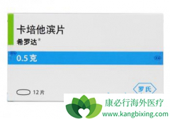 ����������ϣ�޴�ͱ�׼�������ַ����������ٰ�Ч����