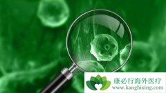 ����ҽ���·����ð�ϸ������ɱ����Ϊ����