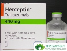 ����͡����������HER2�������ٰ����淢�Ӹ��������