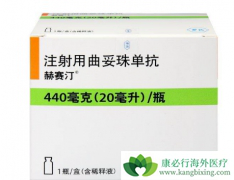 ����͡����HER2����Ķ��Ⱦɫ������ٰ������а���