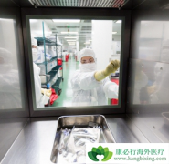 CAR-Tϸ�����Ʒ����ǰ�֢�������Ʒ�������Ҫ����