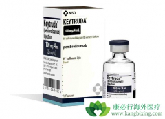 ĿǰPD-1���Ƽ����������ڶ��ְ�֢������