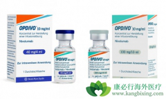 PD-1���Ƽ�Opdivo����Yervoy���ư�֢Ч����ô����