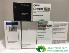 PD-1���Ƽ�Keytruda�ܹ�������Щ��֢��PD-1���Ƽ�Ч����ô����