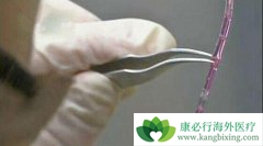 ����ҽ����3D��ӡʵ��Ѫ������