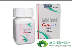 ��������ȱ�׼���ƻ�����Ԥ���ΰ��������󸴷����������Ч