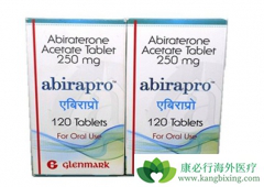 �����ܹ���ӡ�Ȳ�����������ӡ�Ȱ�����������Щ�ô�