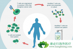 CAR-Tϸ�����Ʒ����Ǿ��л�ʱ������İ�֢���Ʒ�