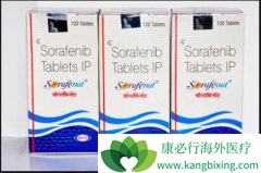 ӡ�ȷ��ư�༪�����������ᣩ����α����α