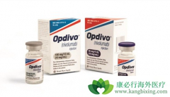 PD-1���Ƽ�Opdivo�ڶ��ְ�֢�����б��ֳ�������Ч��