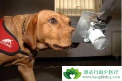 ���ᰩȮ���򽫳�Ϊ����ҽ�ư�֢����·�ʽ