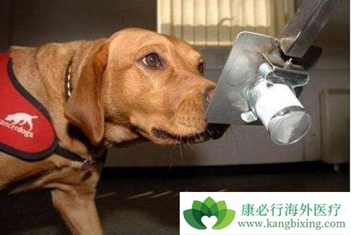 ����ҽ��