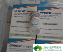 PD-1���Ƽ�Opdivo����Yervoy������������ϸ�������ߵ�����