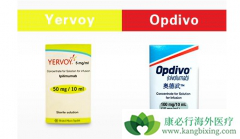Opdivo���������׸������׼��PD-1���Ƽ�