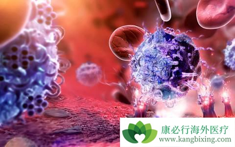 ����ҽ��