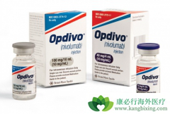 PD-1���Ƽ�Opdivo��ŷ���֣��ڹ������еļ۸��Ƕ��٣�