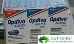ȫ���׿�PD-1���Ƽ�ŷ���֣�Opdivo�����й�����