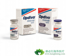PD-1���Ƽ�ŷ���֣�Opdivo��һ���Ƴ̶���Ǯ��