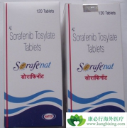 �����������ϻ��ƿ������ӳ����ٰ����ߵ��޽�չ������