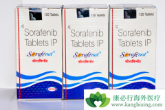 �༪�����������ᣩ�����������ڼ�״�ٰ���