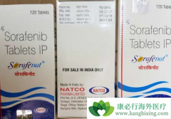 ���������������ڼ�״�ٰ�Ч������