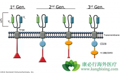 CAR-T���ƾ��������Զ෢�Թ�����������Ч