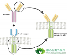 CAR-T����ʱ�����ϸ�������ͷ��ۺ������񾭶��ԵĻ���