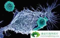 CAR-Tϸ���Ʒ������ư�֢������ȡ������Щ�ɹ�