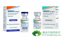 PD-1���Ƽ�Opdivo��ŷ���֣��ڹ��ڵĶ����Ƕ���Ǯ��